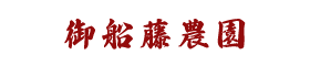 干し柿・干し筍の熊本『御船藤農園』